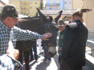 Asti_alpini_2016_Sfilata_3