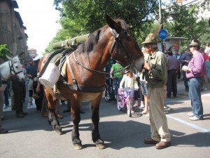 ADUNATA TORINO 2011 